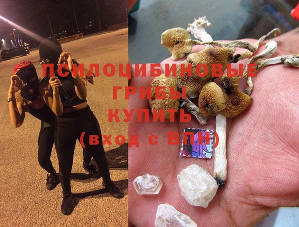 ГАЛЛЮЦИНОГЕННЫЕ ГРИБЫ Абаза