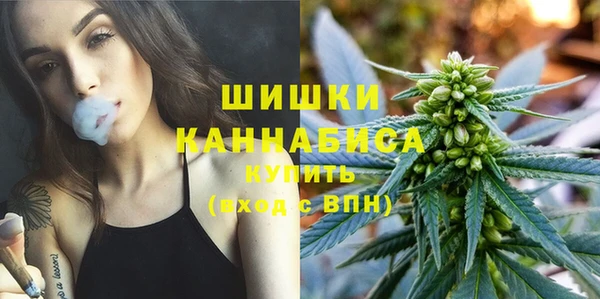 ГАЛЛЮЦИНОГЕННЫЕ ГРИБЫ Абаза