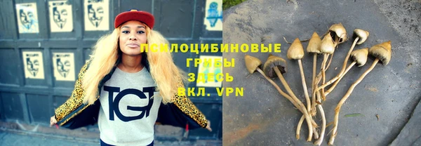 спайс Абинск