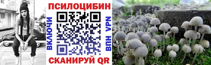 Галлюциногенные грибы Cubensis mega рабочий сайт Сольцы